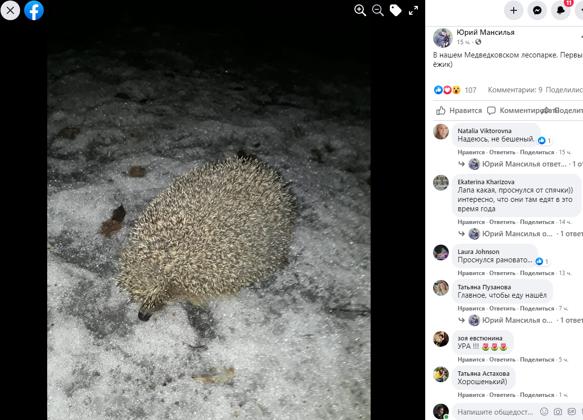 Славянский календарь еж