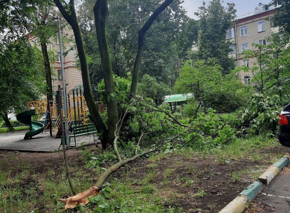 Коммунальщики Северного Медведкова убрали все упавшие из-за дождя деревья