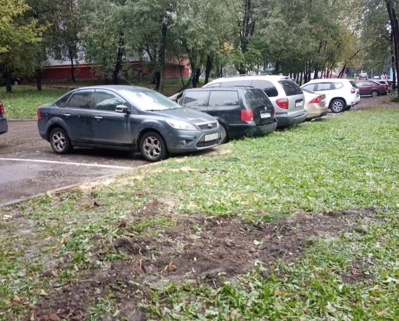 Упавшее дерево в Студёном проезде распилили и вывезли