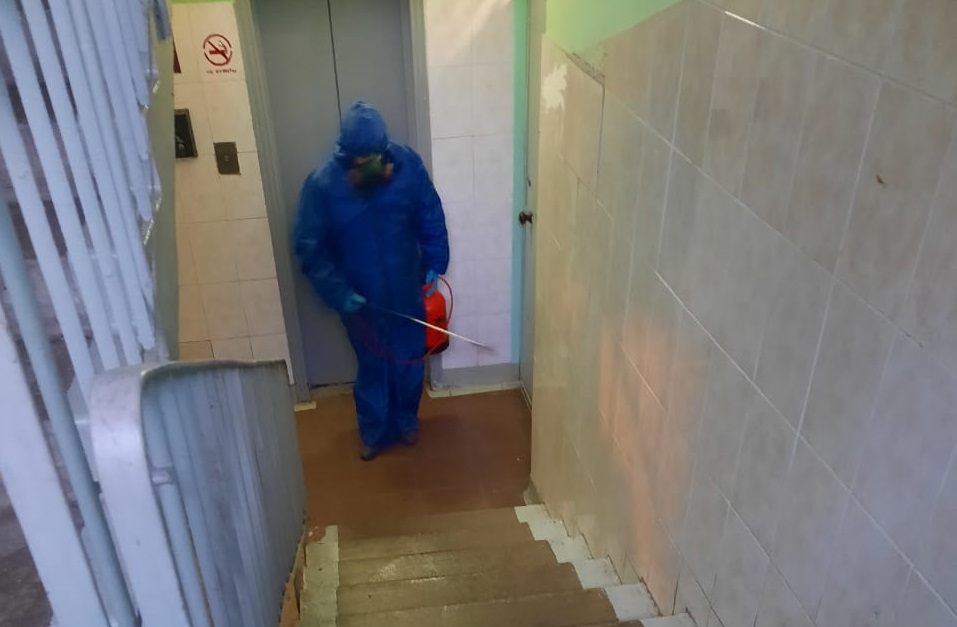 Тараканов выдворили из подъезда дома на Широкой