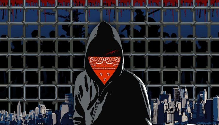 Наркоманы облюбовали двор на Шокальского